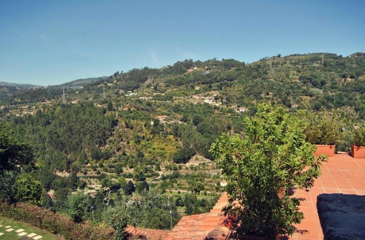 Quinta Do Freixieiro Villa Cinfaes Bagian luar foto
